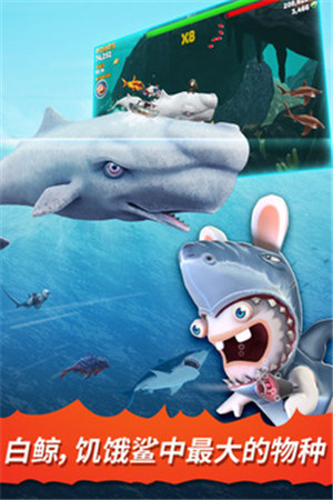 饥饿鲨：进化破解版下载