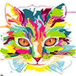 小花猫短视频app解锁版