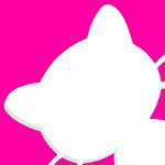 猫咪全新地址app