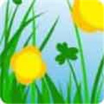 忘忧草视频播放