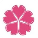 野花视频会员无限制免费观看下载