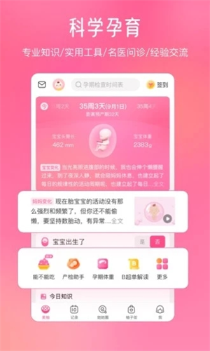 美柚安卓版APP