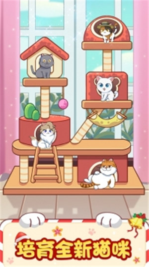 猫咪小家