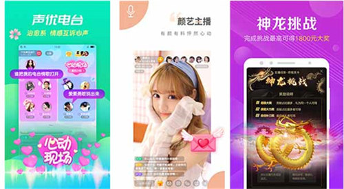 蝴蝶app直播:一款不花钱的视频观看软件