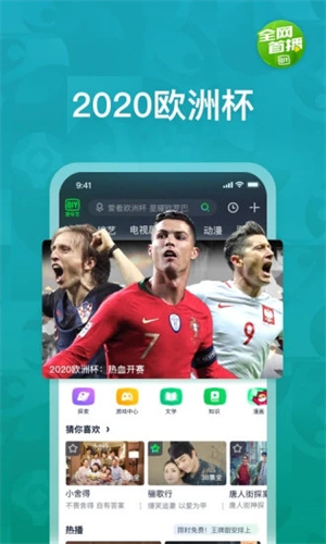 爱奇艺最新版APP安装