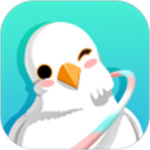 呼啦鸽app下载最新版