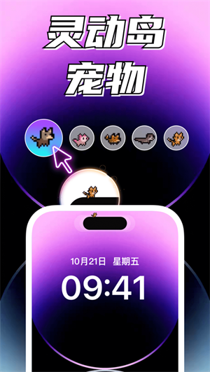 灵动鸟app最新版2022