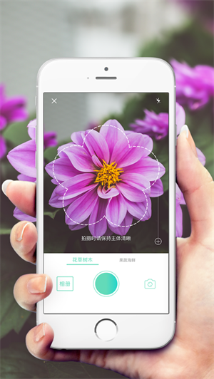 拍照识别植物app官方免费版