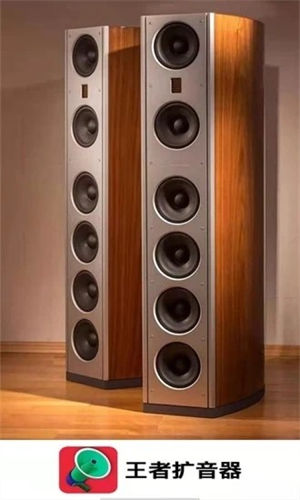 王者扩音器app下载